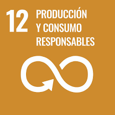 ODS 12 Producción y Consumo Responsables