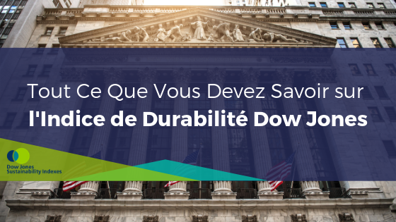 Qu’est-ce que l’Indice de Durabilité Dow Jones