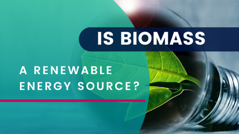 is-biomass-a-renewable-energy-source-dexma