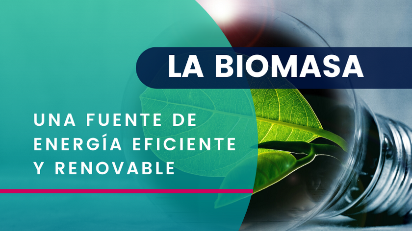 Biomasa Qué Es Cómo Medirla Y Analizarla I Energías Renovable Dexma 7598