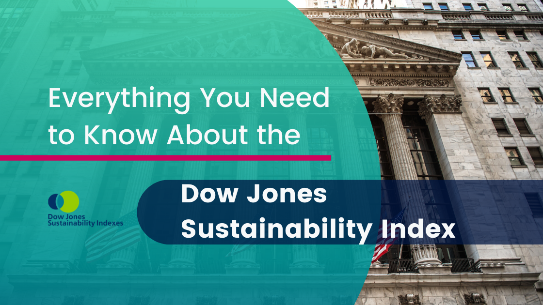 What is the Dow Jones Sustainability Index (DJSI)?