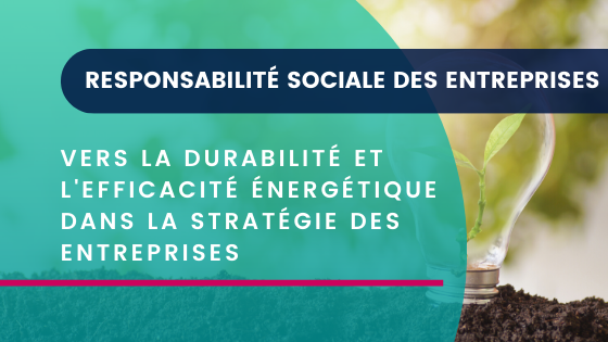 RSE : Vers La Durabilité Et L'Efficacité Énergétique Dans La Stratégie Des Entreprises