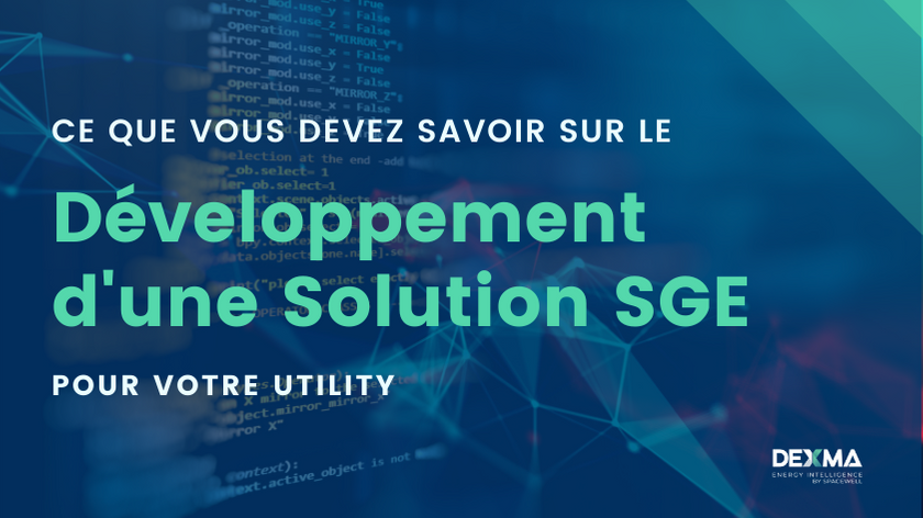 Développement d'une Solution SGE pur votre utility