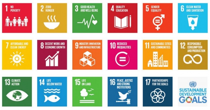 Sustainable Development Goals