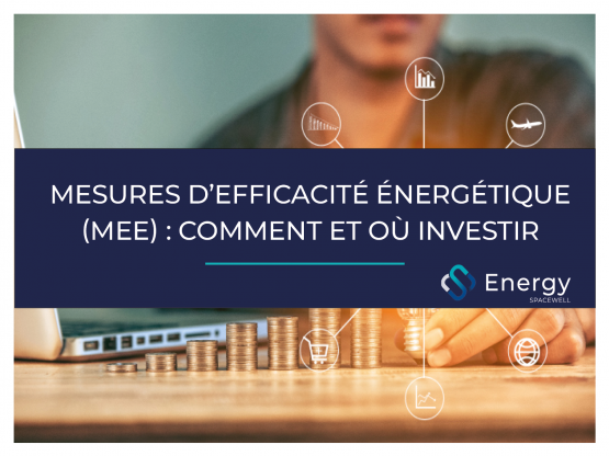 INVESTIR DANS DES MESURES D'EFFICACITÉ ÉNERGÉTIQUE