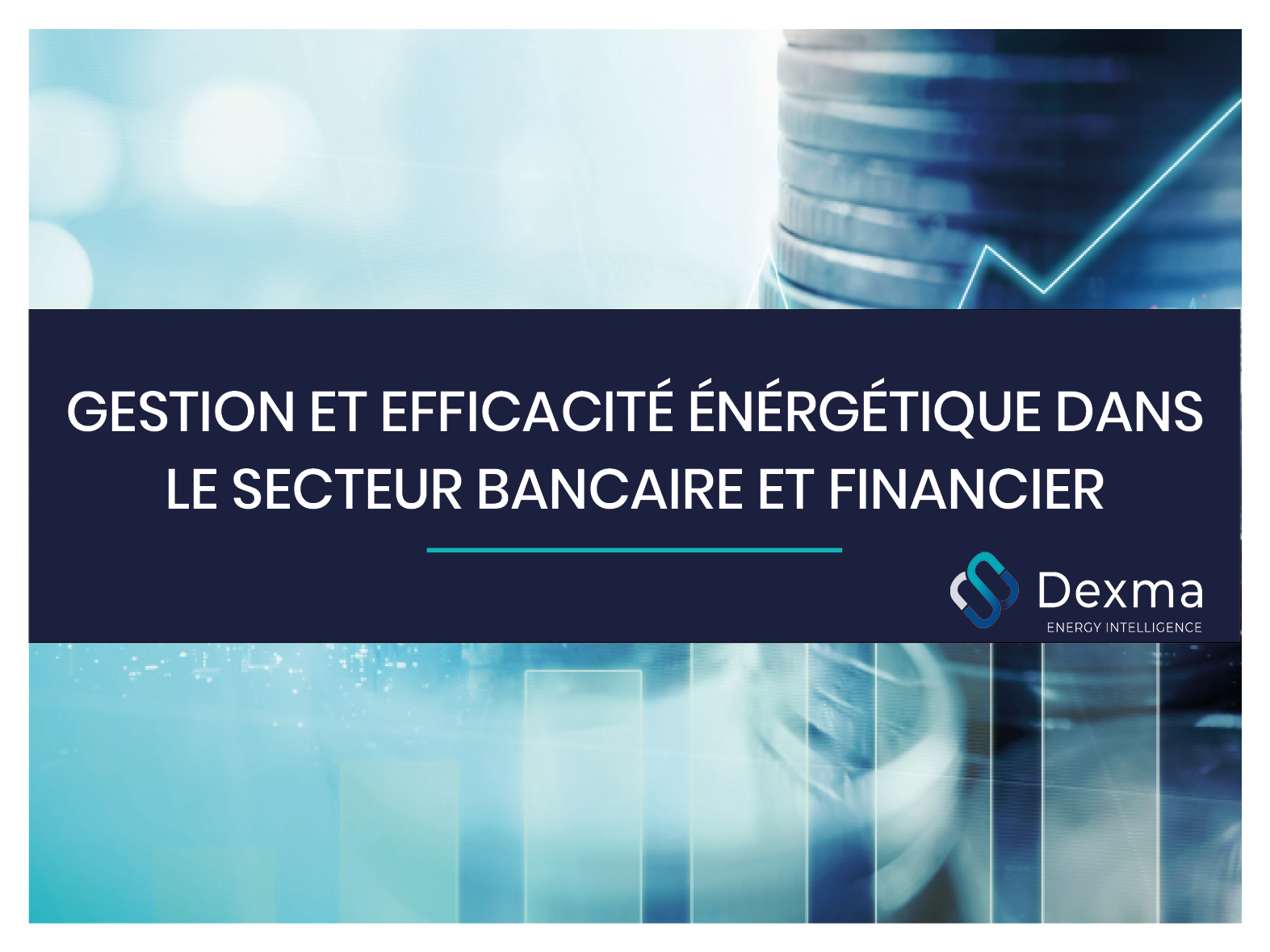 Gestion et Efficacité énergétique dans le secteur bancaire et financier