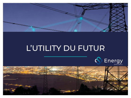 L'UTILITY DU FUTUR