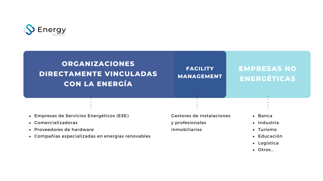 Representación Encuestados Eficiencia Energética